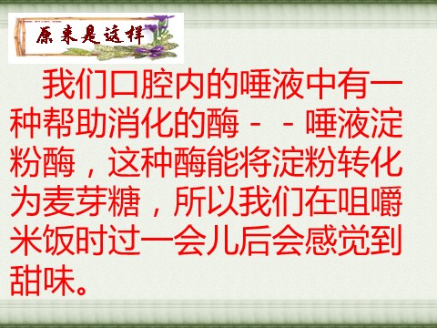 六年级下册科学（教科版）米饭、淀粉和碘酒的变化ppt课件(科学)第10页