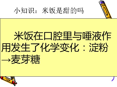 六年级下册科学（教科版）米饭、淀粉和碘酒的变化PPT教学课件(科学)第4页