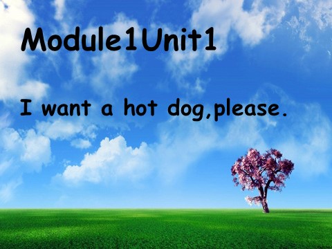 六年级下册英语（外研版三起点）外研版英语原创Module1 I want a hot dog,pleaseppt课件第1页