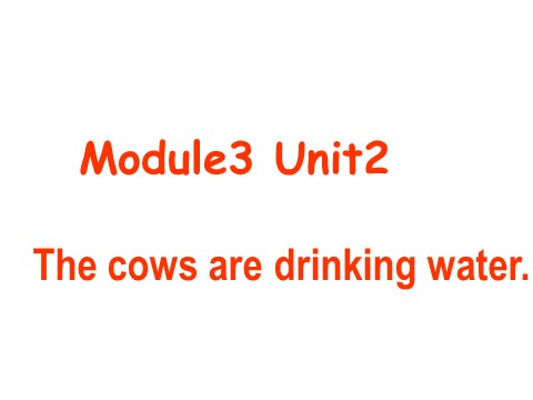 六年级下册英语（外研版三起点）外研版Unit2 The cows are drinking waterppt课件第1页
