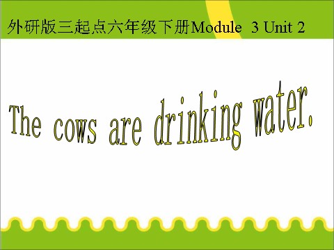 六年级下册英语（外研版三起点）教研课Module 3 Unit2 The cows are drinking waterppt课件第1页