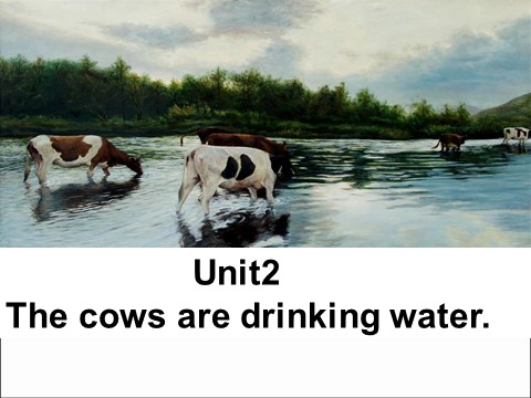 六年级下册英语（外研版三起点）教研课Unit2 The cows are drinking waterppt课件第4页