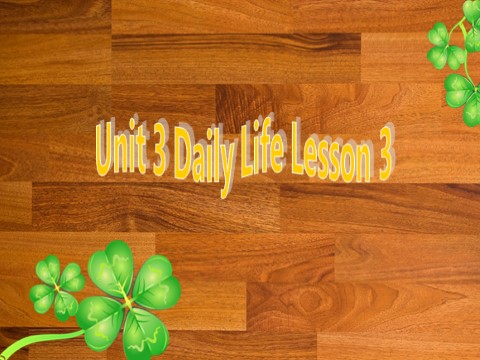 六年级下册英语(SL版)Unit 3 Daily Life Lesson 3 课件 1第1页