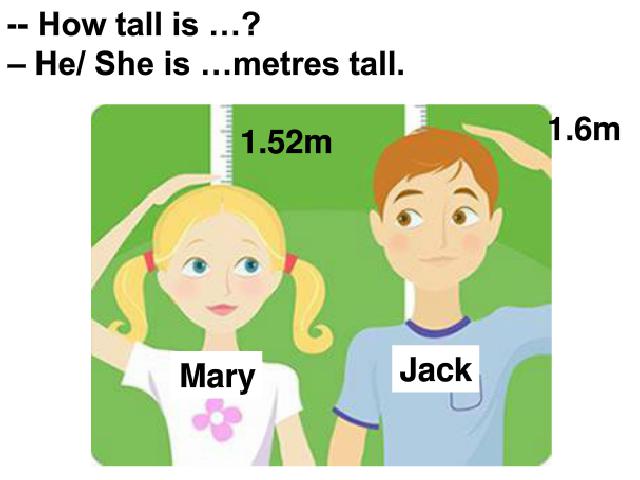 六年级下册英语(PEP版)pep Unit1 How tall are you A let's talk课件ppt第3页