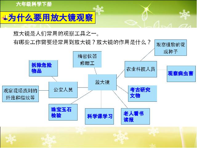 六年级下册科学第一单元“微小世界”《放大镜》(科学第3页