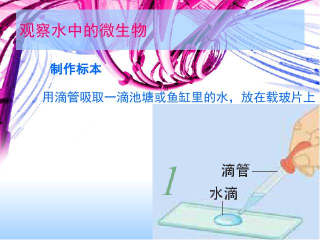 六年级下册科学《用显微镜观察身边的生命世界(三)》(科学第5页