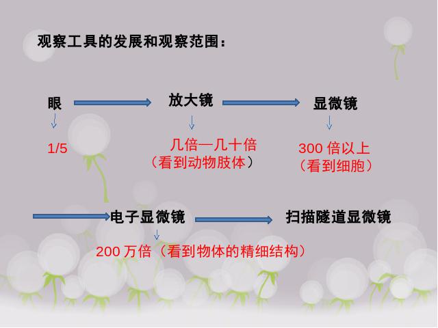 六年级下册科学科学《微小世界和我们》(教科版)第4页