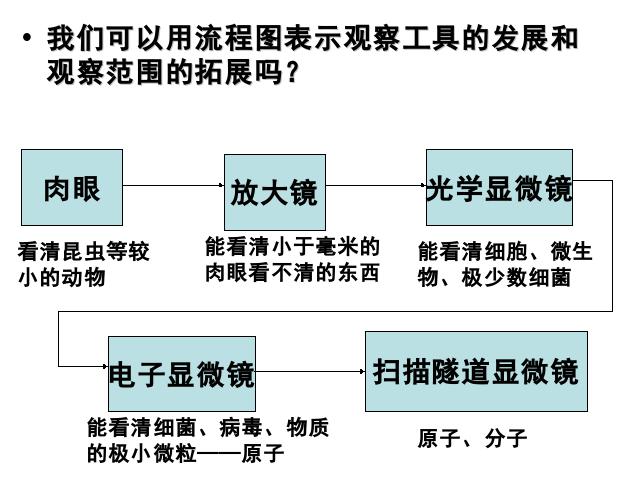 六年级下册科学科学“微小世界”《微小世界和我们》（）第4页