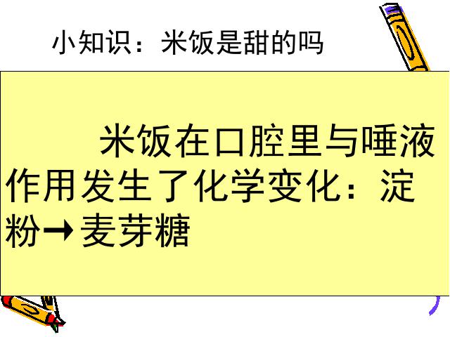 六年级下册科学教科版《米饭、淀粉和碘酒的变化》(科学)第4页