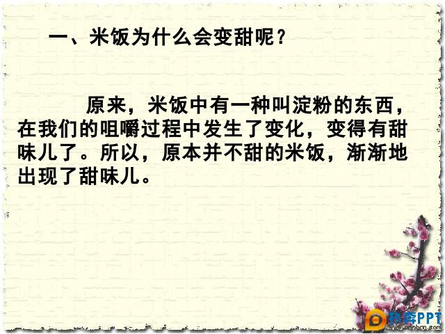 六年级下册科学科学《米饭、淀粉和碘酒的变化》第2页