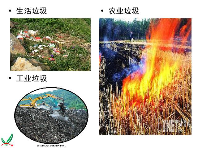 六年级下册科学科学“环境和我们”《一天的垃圾》第6页