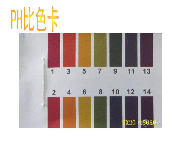 六年级下册科学第四单元《考察家乡的自然水域》(科学第8页