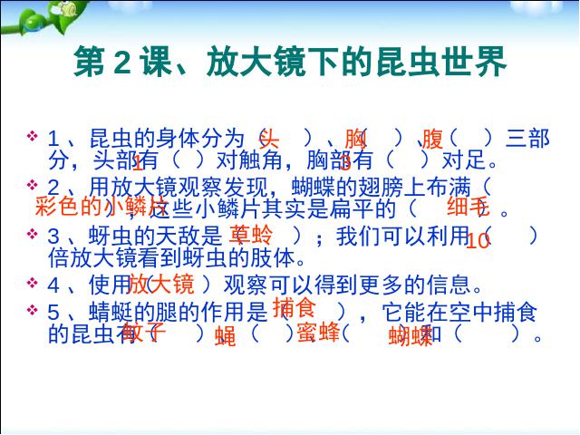 六年级下册科学小学教科版科学总复习第4页