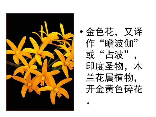 初一上册语文《第7课:散文诗二首:金色花》(语文)第2页