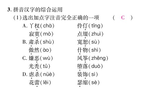 初一上册语文专题一 拼音与汉字第7页