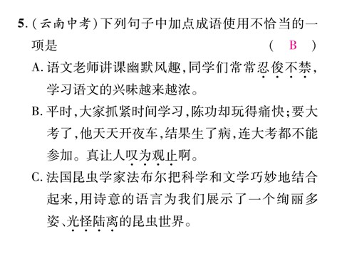 初一上册语文专题二 词语的理解与运用第10页