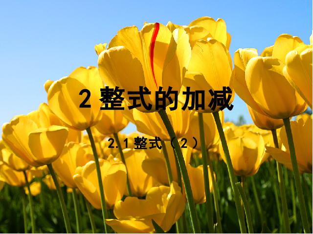 初一上册数学数学《2.2整式的加减》优质课第1页