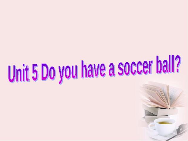 初一上册英语Unit5 Do you have a soccer ball优质课第2页