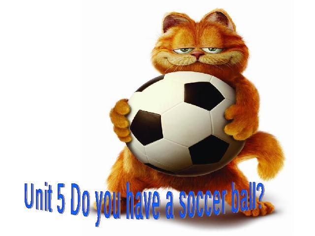 初一上册英语Unit5 Do you have a soccer ball英语公开课第1页