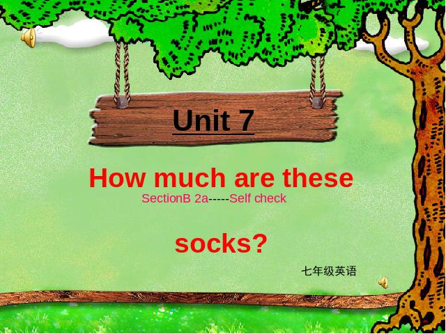 初一上册英语Unit7 How much are these socks Section B PPT教学原创课件第1页