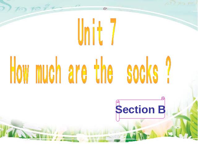 初一上册英语Unit7 How much are these socks Section B ppt原创课件（）第1页