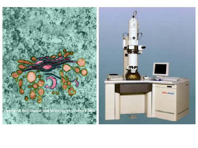 初一上册生物生物2.1.1练习使用显微镜精品第9页