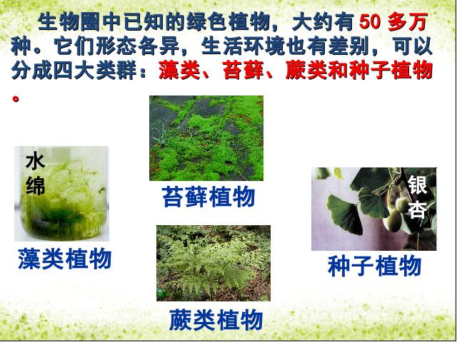 初一上册生物生物3.1.1藻类苔藓和蕨类植物优质课第3页