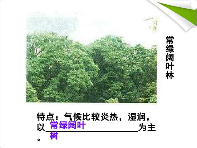 初一上册生物生物3.6爱护植被绿化祖国精品第7页