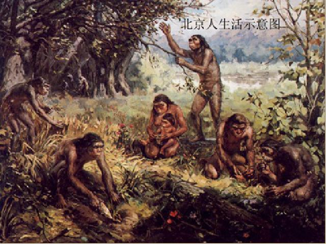 初一上册历史《第1课:中国早期人类的代表-北京人》第10页