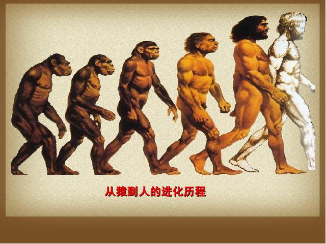初一上册历史《第1课:中国早期人类的代表-北京人》第2页