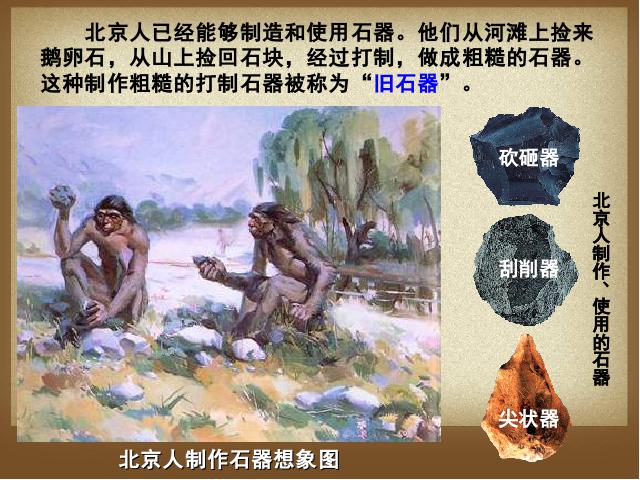 初一上册历史《第1课:中国早期人类的代表-北京人》第9页