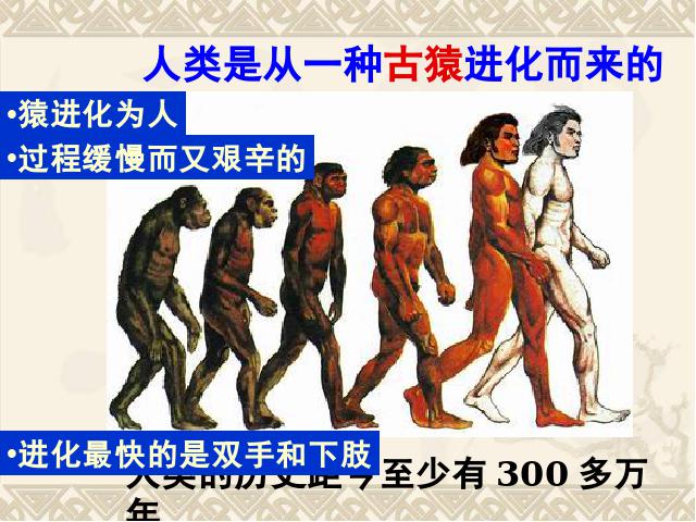 初一上册历史历史《第1课:中国早期人类的代表-北京人》第5页