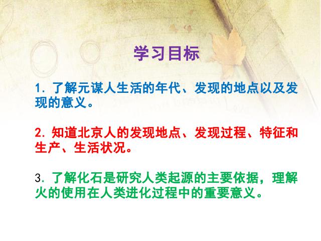 初一上册历史《第1课:中国早期人类的代表-北京人》课件ppt第2页