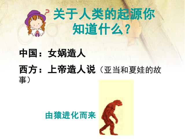 初一上册历史《第1课:中国早期人类的代表-北京人》课件ppt第3页