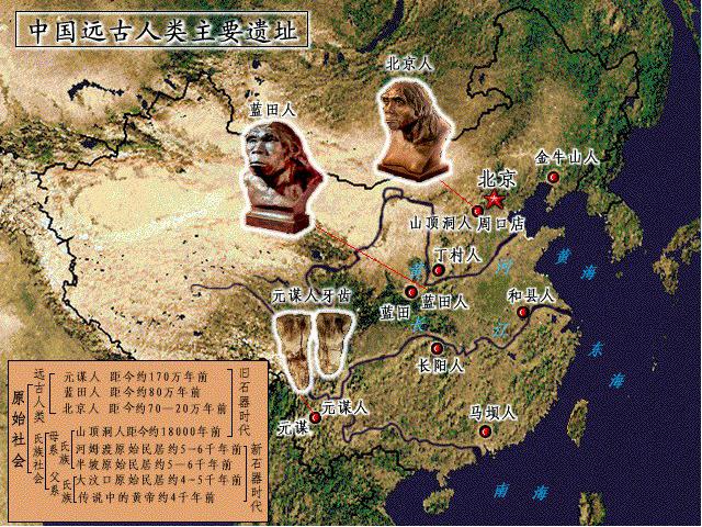 初一上册历史《第1课:中国早期人类的代表-北京人》课件ppt第7页