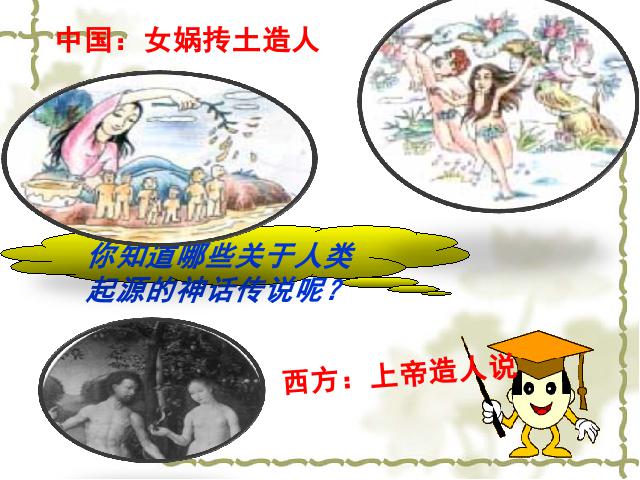 初一上册历史公开课《第1课:中国早期人类的代表-北京人》第5页