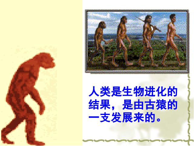 初一上册历史公开课《第1课:中国早期人类的代表-北京人》第6页