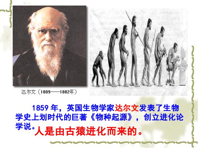 初一上册历史原创《第1课:中国早期人类的代表-北京人》第4页