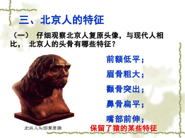 初一上册历史原创《第1课:中国早期人类的代表-北京人》第8页