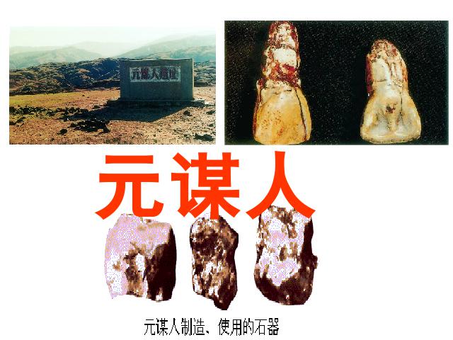 初一上册历史《第1课:中国早期人类的代表-北京人》第5页