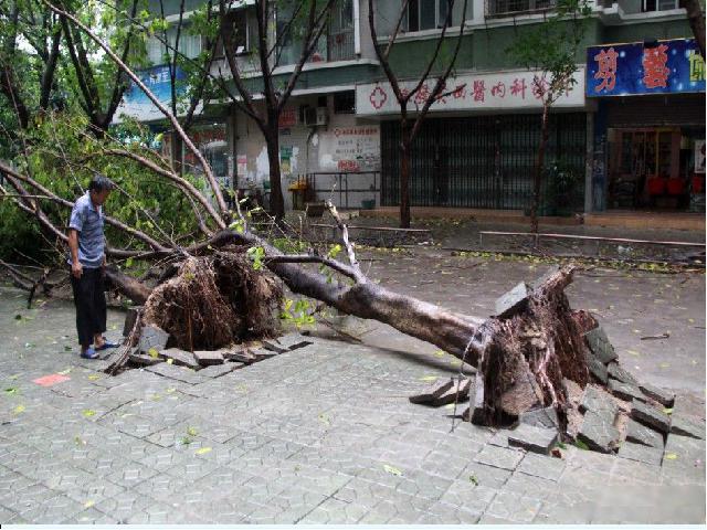 初一上册地理地理3.1多变的天气精品第4页