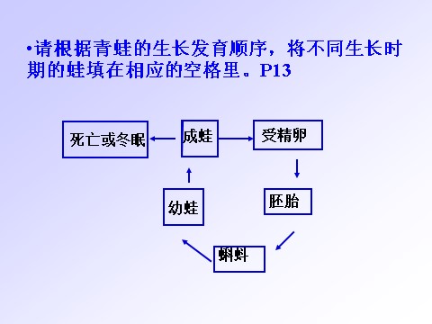 初一下册科学（教科版）新浙教版七年级科学1.3动物的生长时期课件ppt第6页