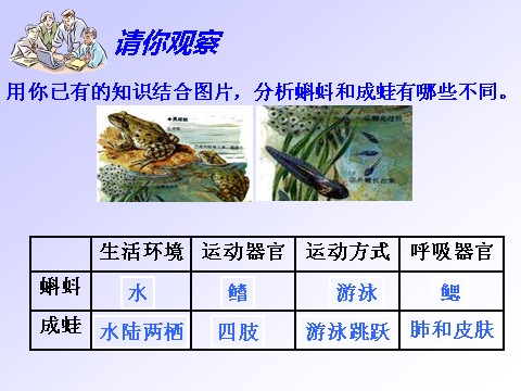 初一下册科学（教科版）新浙教版七年级科学1.3动物的生长时期课件ppt第7页