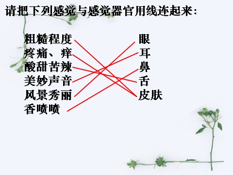 初一下册科学（教科版）新浙教版七年级科学精品2.1感觉世界ppt课件第3页