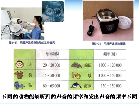 初一下册科学（教科版）教研课2.3耳和听觉ppt课件(新浙教版七下科学)第8页