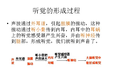 初一下册科学（教科版）新浙教版七年级科学精品2.3耳和听觉ppt课件第6页