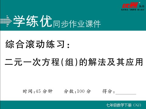 初一下册数学（湘教版）综合滚动练习：二元一次方程(组)的解法及其应用第1页