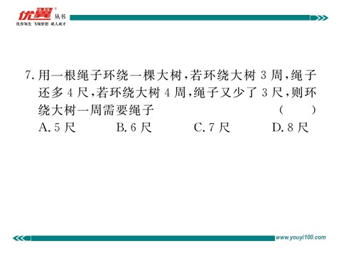 初一下册数学（湘教版）综合滚动练习：二元一次方程(组)的解法及其应用第6页