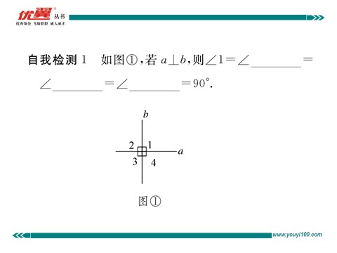 初一下册数学（湘教版）4.5 第1课时  垂线第3页