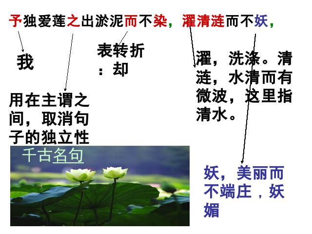 初一下册语文2017新语文优质课《第16课:爱莲说》第7页